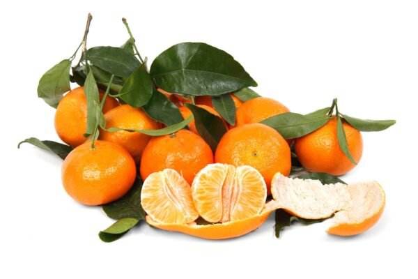 citrus, clementine, food